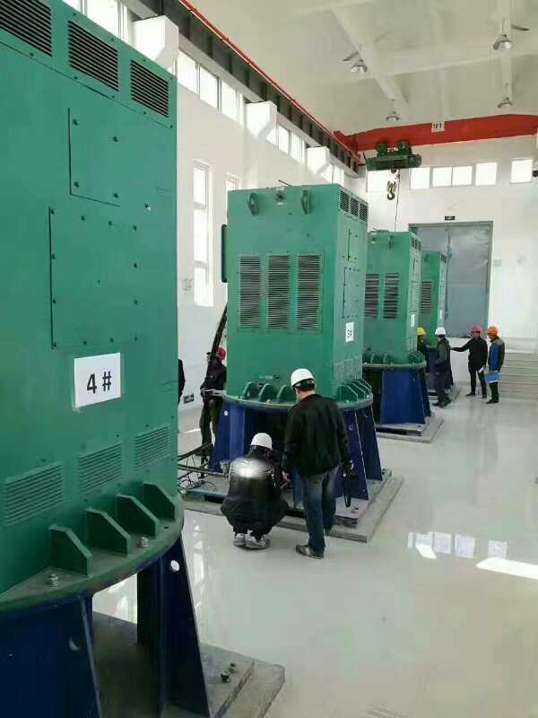 海南矿业联合有限公司某污水处理厂使用我厂的立式高压电机安装现场